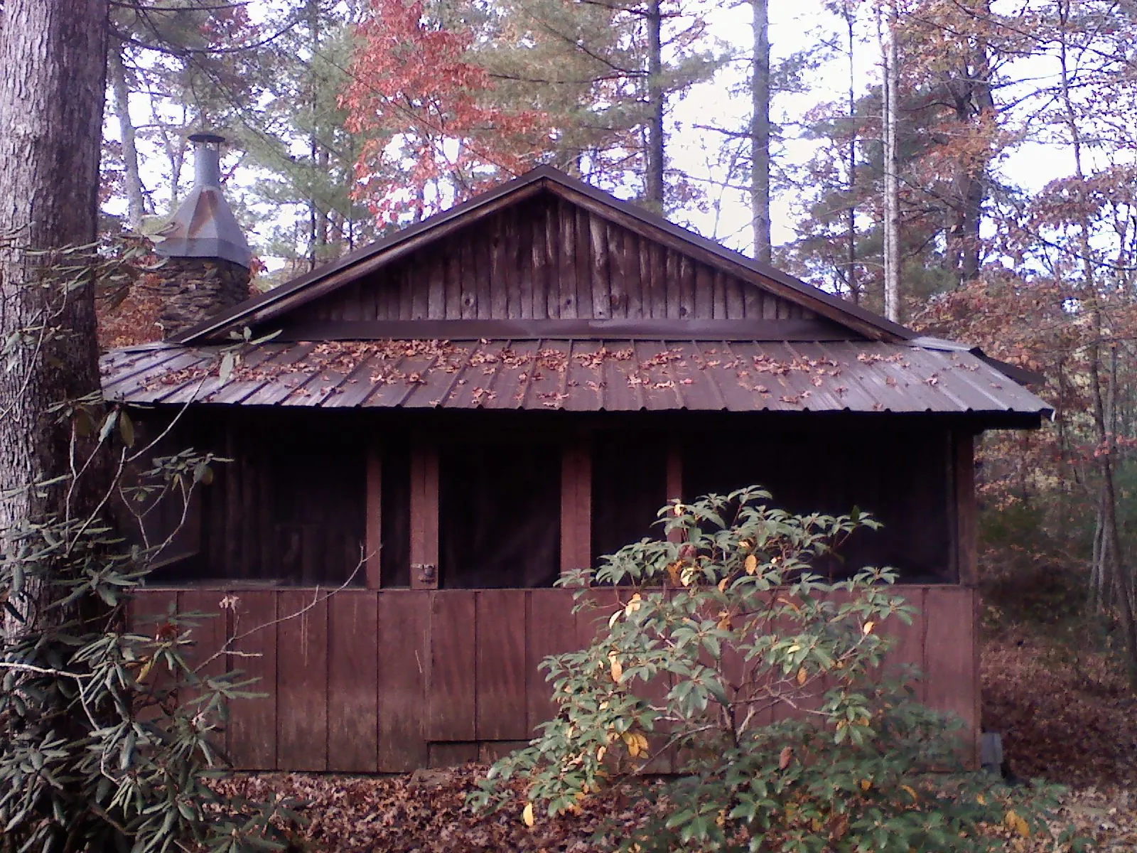 Metal roof over the screened porch of a rustic cabin in Saltillo